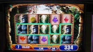Gorillas in the Mist - Queen of the Wild - Slot Machine Bonus Big Win (Part 1 of 3)