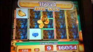 WMS- Silverback slot machine bonus big win...