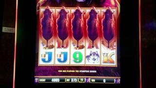 Buffalo Slot Machine  Max Bet Las Vegas Slots