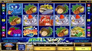 All Slots Casino What A HooT Video Slots