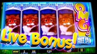 OMG Kittens Play Live BONUSES - 1c Wms Video Slots