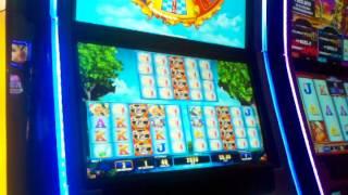 Teaching the Wife the lessons of slots WMS Chershire Cat 80x win slot machine free spins