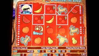 Coyote Moon an IGT game slot machine bonus at Mt. Airy Casino,PA