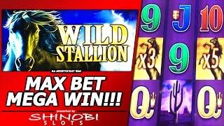 Wild Stallion Slot Bonus - Max Bet, Mega Big Win!!!  Another Big Free Spins Win on the Same Machine!