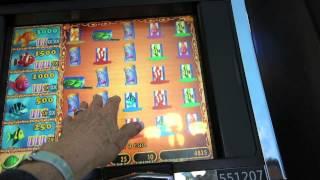 Goldfish Slot Machine- Super Scatter Spins And Fish Can Bonus!