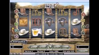 Dunover's Dead Or Alive Slot HUGE Win (Challenge from snazzyslots)