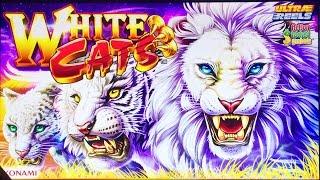 ++NEW White Cats slot machine, DBG