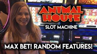 NEW MAX BET! ANIMAL HOUSE! Slot Machine! TONS of Features!!!