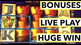 HUGE WIN!!! LIVE PLAY on Wildlife Slot Machine with Bonuses