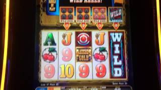 Gauchos Gold Slot Machine Bullseye Bonus Max Bet