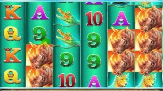 Raging Rhino Slot Movie - Dunover's `1200-spin session!