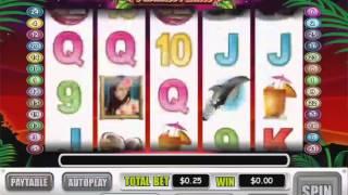 Paradise Riches Slot Machine At Intertops Casino