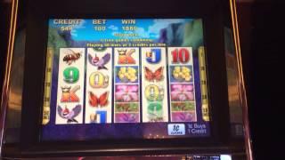 Blooming wild slot machine free spins