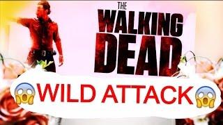 The WALKING DEAD slot machine MAX BET "Wild Attack Feature" WIN!
