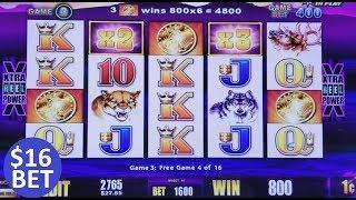 $16 MAX BET Buffalo Slot Machine Bonus Won ! Live Wonder 4 Slot Play !