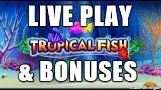 •TROPICAL FISH(SG) -  LIVE PLAY AND BONUS WINS