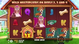 The Dog House Slot by Pragmatic Play.