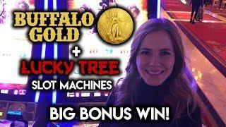 • Buffalo Gold • 4 COIN Bonus • BIG WIN!!! Lucky Tree Free Spins!