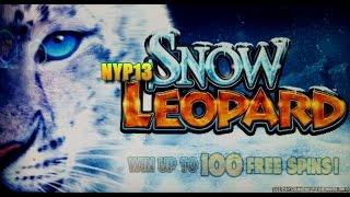 WMS - Snow Leopard Slot Bonus MAX BET WIN