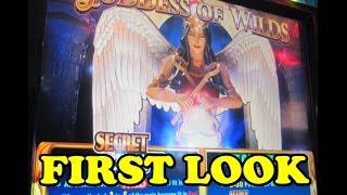 KONAMI - Goddess Of Wilds - Great Wins In 20 Minutes!  First Look!
