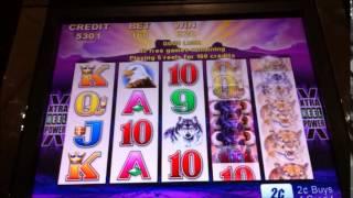 LAST $20! Tale of the Buffalo Slot Machine  Video 2 of 3!