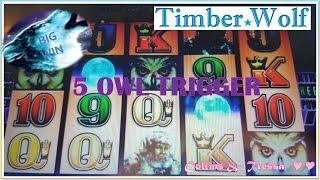 •BIG WIN• Timber Wolf • 5 Owl Trigger • Slot Machine Bonus