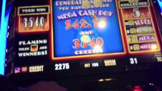 Aristocrat - Cashman Fever - TOP CROC Slot - Golden Nugget Hotel and Casino - Atlantic City, NJ