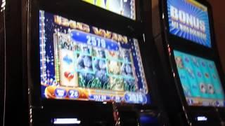 Queen of the Wild 2c - BIG WIN!