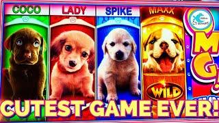 THE PUPPIES CAN PAY! ⋆ Slots ⋆⋆ Slots ⋆ WINNING FUN @ FOXWOODS!