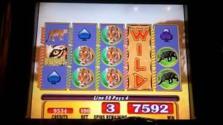 WMS - Running Wild Slot Bonus
