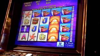 Pelican Penny Slot Machine Bonus Win