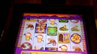 Game of Dragons Bonus Win