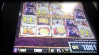 Buffalo Stampede Slot Machine Line Hit
