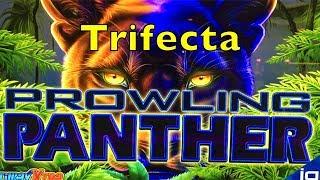 PROWLING PANTHER - Trifecta With Big Win - IGT Slot Machine - Enjoy !!!