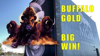 Buffalo Gold Big Win - Chasing 15 Buffalo Heads #46