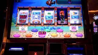 Goldfish slot machine bonus win at Parx Casino