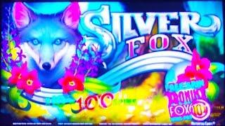 Silver Fox class II slot machine, BINGO demo & Bonus
