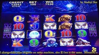 50X JACKPOT LIVE•I started with $100/ Multi Denom & Games, Timber Wolf Deluxe & Fortune King Deluxe