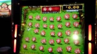 Rainbow Riches Fields Of Gold Toadstool Feature - £500 Jackpot B3 Slot