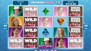 Review Of The New Microgaming  'Bridesmaids' Slot!
