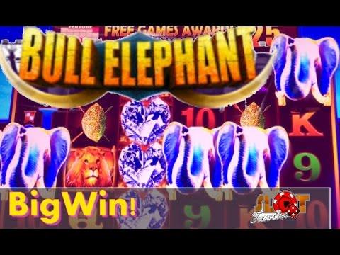 ★ Big Win - Bull Elephant Slot Machine Bonus - ♠ SlotTraveler ♠