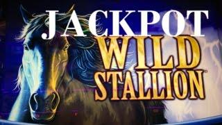 Jackpot•Wild Stallion Slot Max Bet $3 Retriggr Bonus x 2 times Big Win Handpay Harrah's CA.