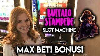 Buffalo Stampede Slot Machine Max Bet! SOUR Turns SWEET!!! Big Hit
