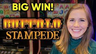 BIG WIN! Found A Buffalo Stampede Slot Machine! Lucky Session!