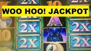 •WooHoo! JACKPOT ! •HANDPAY Again!•JACKPOT•Prowling Panther 10 cent Denom $5.00 Bet HAND PAY !