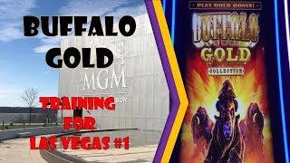 Buffalo Gold - Las Vegas Warm Up - Big Win!