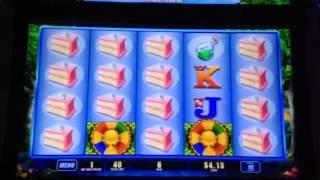 Cheshire Cat Slot Machine No Bonus Live Play Bellagio Casino Las Vegas