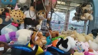 EPIC WIN BY THE TAG! Faulty outside claw machines 2016