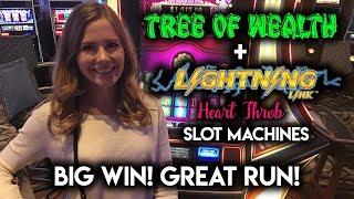 BIG WIN Awesome Run on Tree of Wealth Slot Machine! MAX Bet!!!
