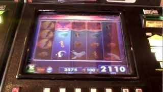 Slot bonus win on Whale Song at Parx Casino in Bensalem. PA